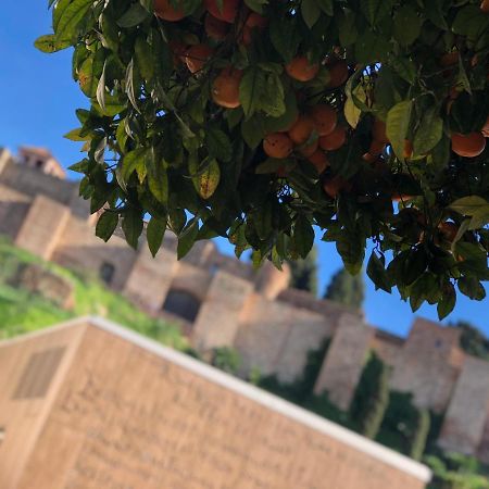Dl Patio Malaga 아파트 외부 사진