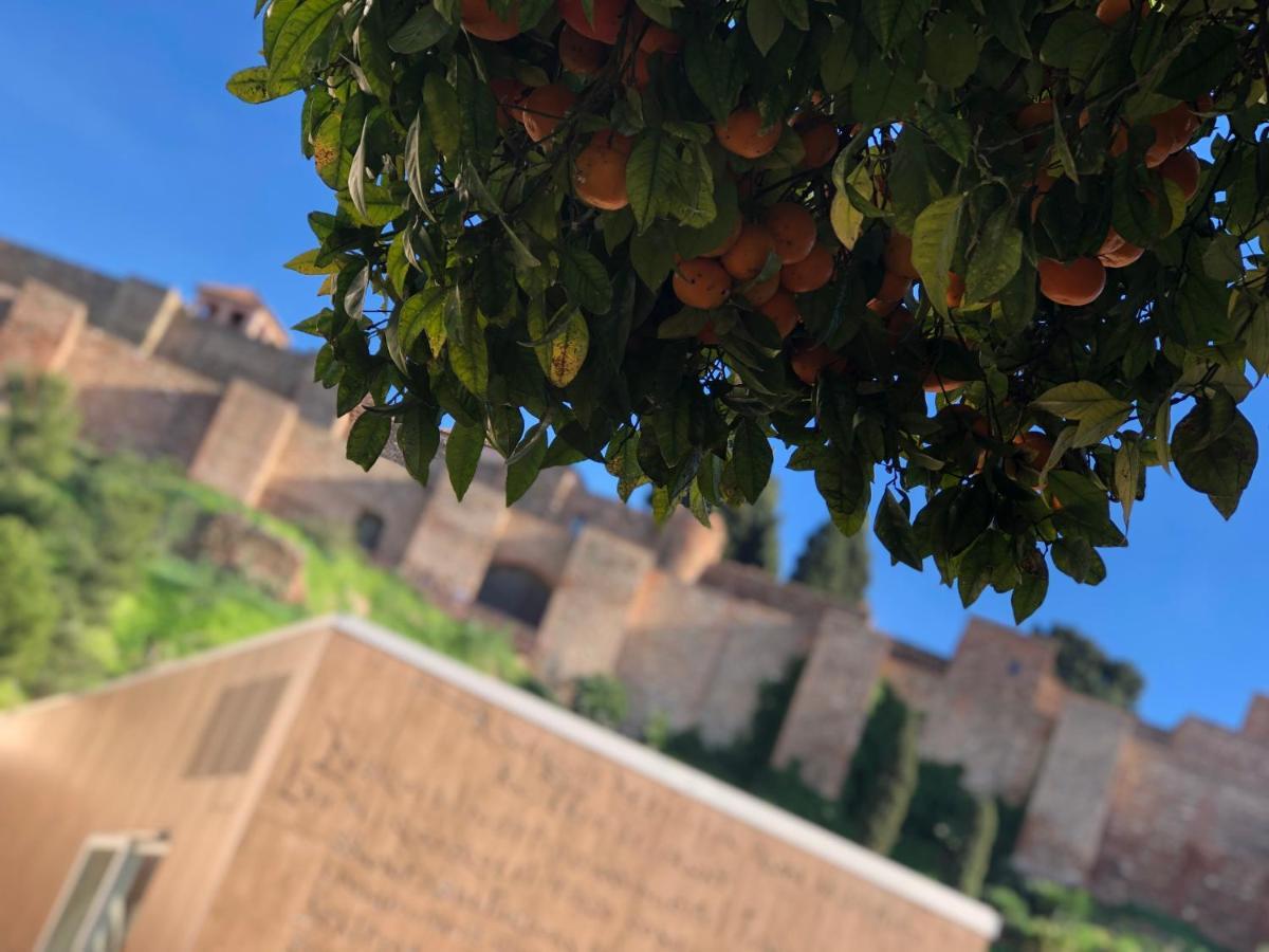 Dl Patio Malaga 아파트 외부 사진